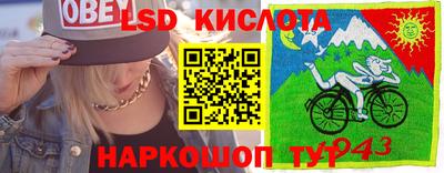 гидра Кулебаки