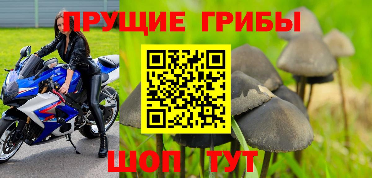 Галлюциногенные грибы прущие грибы  Вход с VPN  Дмитров 