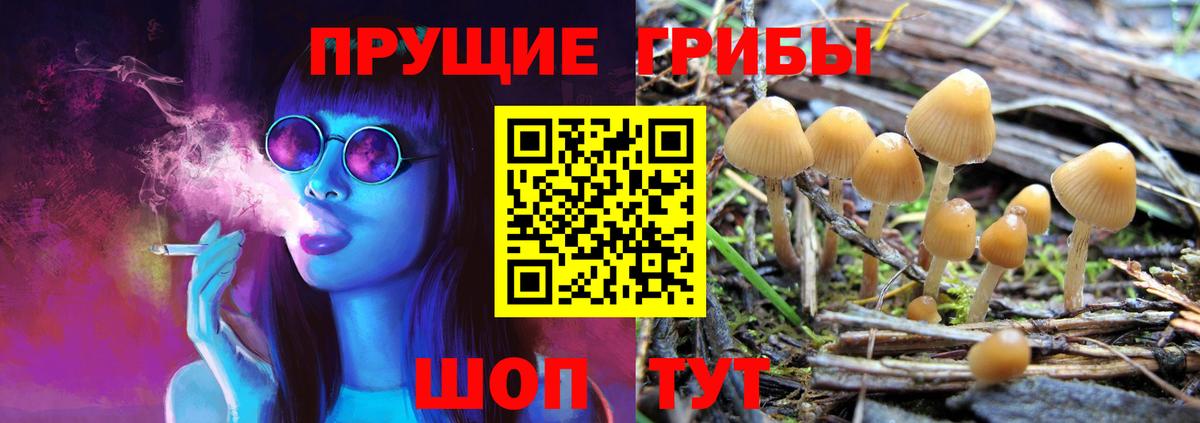 Галлюциногенные грибы Magic Shrooms Дмитров